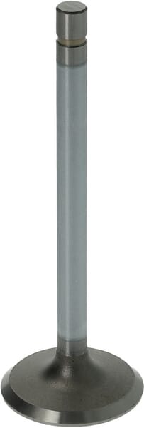 BPA000345657