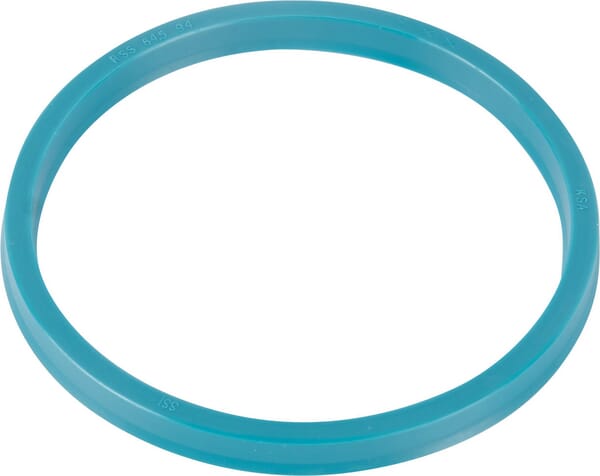 Goldoni Piston gasket 00019727