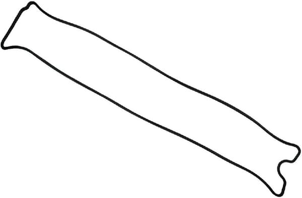 Raico Gasket 001090650N