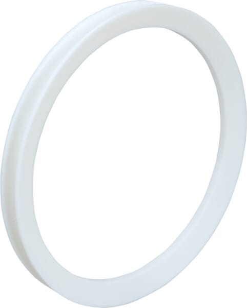 Spicer Dana Ring 001113340N