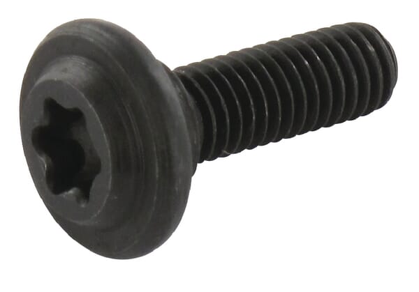 Solo Start pawl screw M5x18 0018454