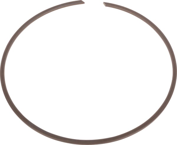 Spicer Dana Ring 002063193