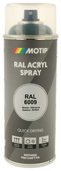 Motip Green Ral 6009 Spray Fir 07123