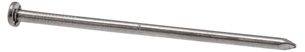 Unbranded Common nails, 2,5" 1545106025