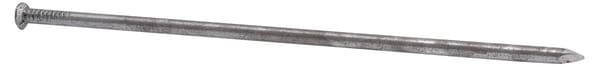 Unbranded Common nails, 12" 1545130090