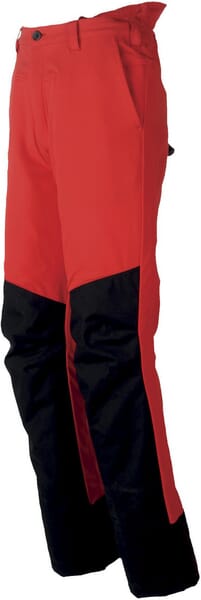 BPA000062479