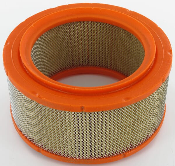 Lombardini Air Filter 2175050