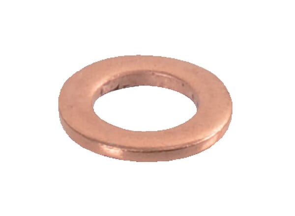Seal ring for injection nozzle