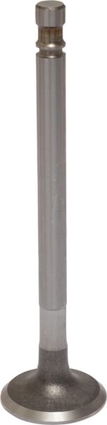 Exhaust valve