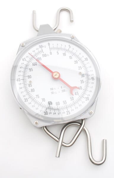 Kerbl Quick Weigh Scales 50 Kg 486783