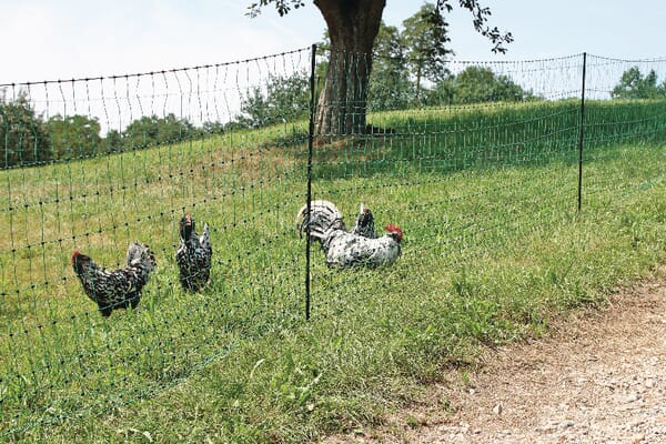Rutland Poultry Net Double Spike 112Cm 50M 487160Rut