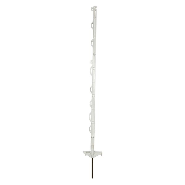 BPA000163004