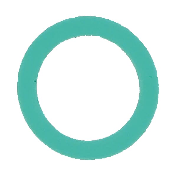 Braglia Gasket 7060137