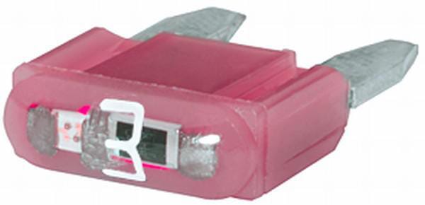 BPA000195957