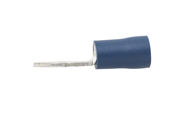 BPA000196065