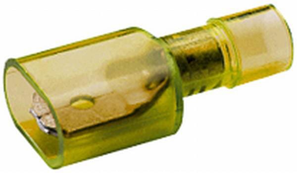 BPA000196183