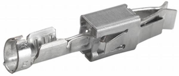 BPA000196252