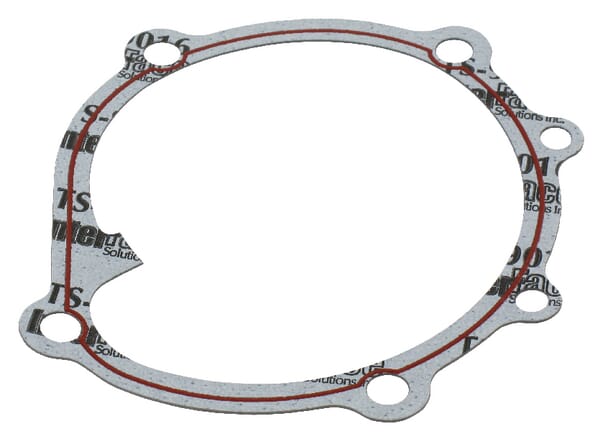 Water pump gasket (OE)