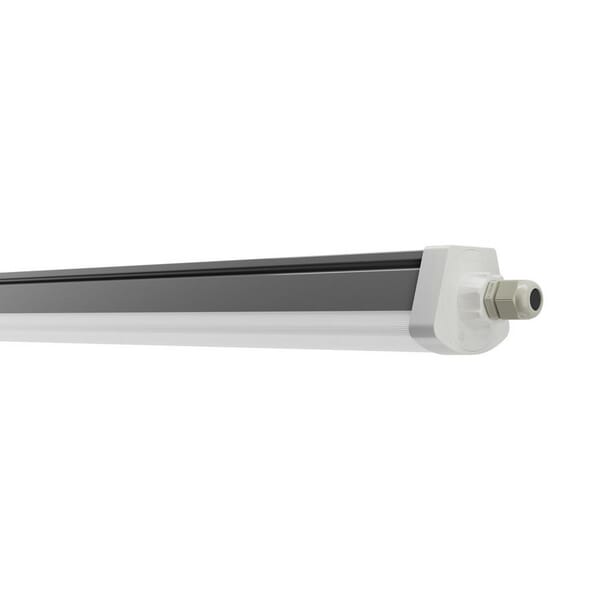 BPA000253618