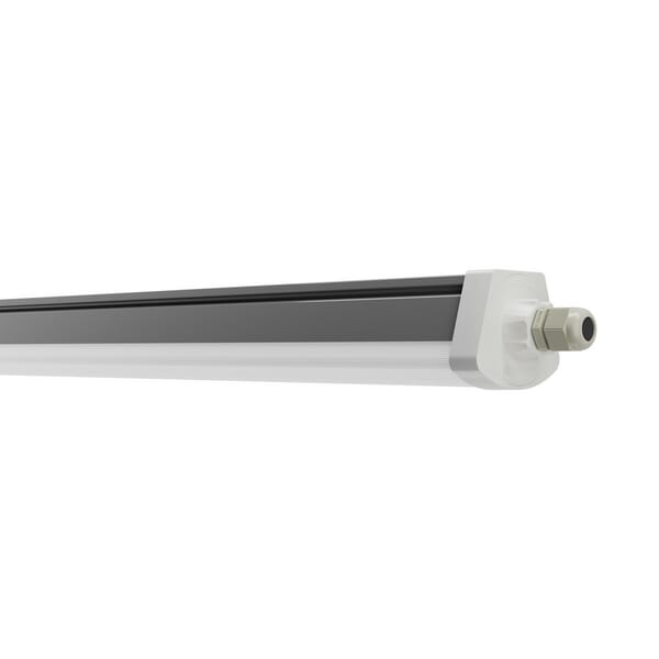 BPA000253619