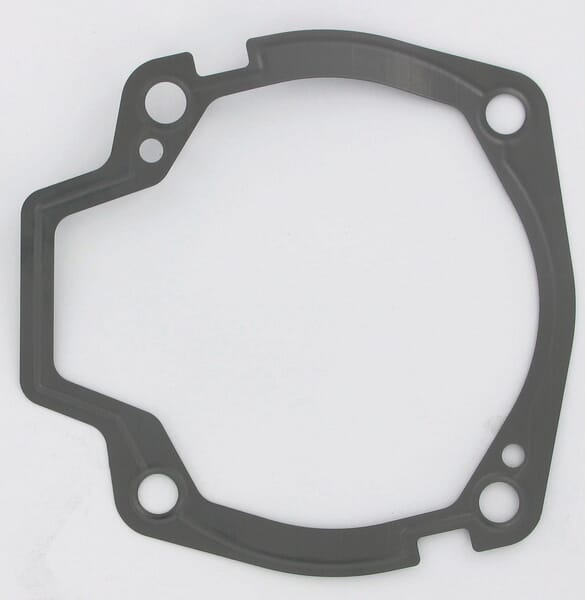Etesia Pump Gasket Et29890