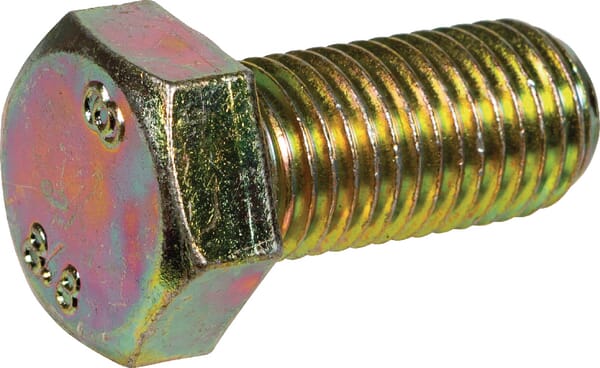 Vicon Screw Kg00480161