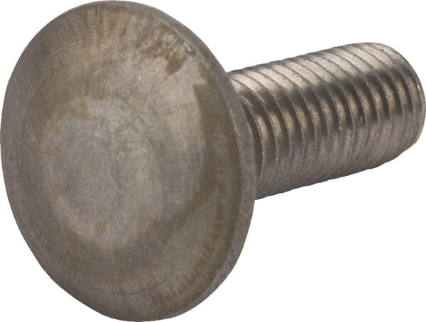 Vicon Coach Bolt M10x30 Stainless St Kg00654500