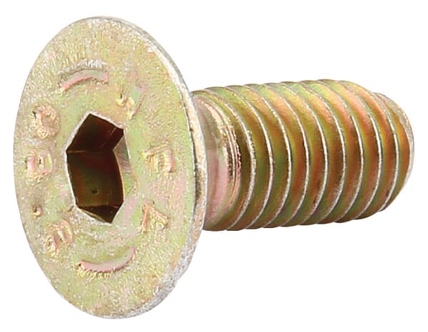 Vicon Bolt M8x20 Accord Kg00861661