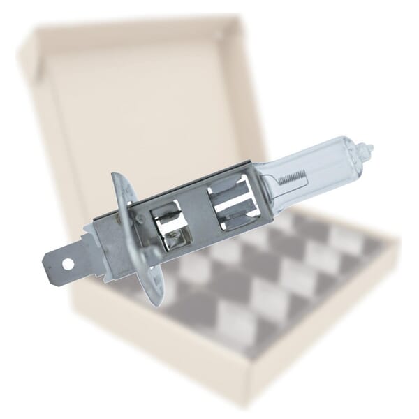 BPA000305359