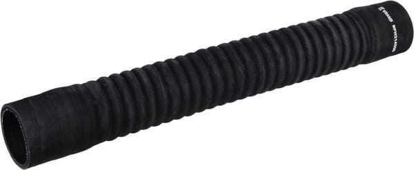 BPA000345152