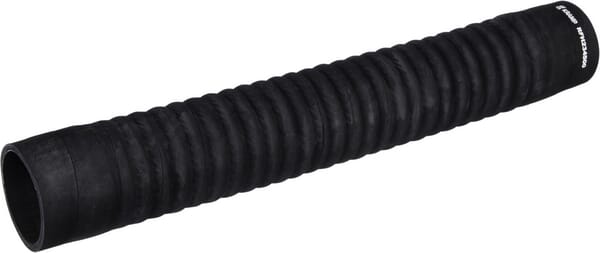 BPA000345156