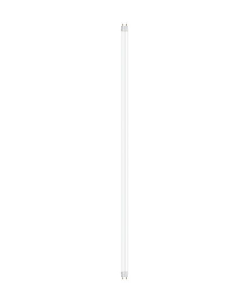 BPA000369313