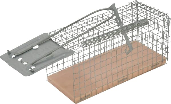 Kerbl Live Catch Rat And Mouse Trap Vv299618