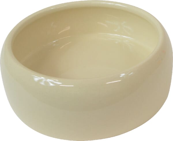 BPA000395389